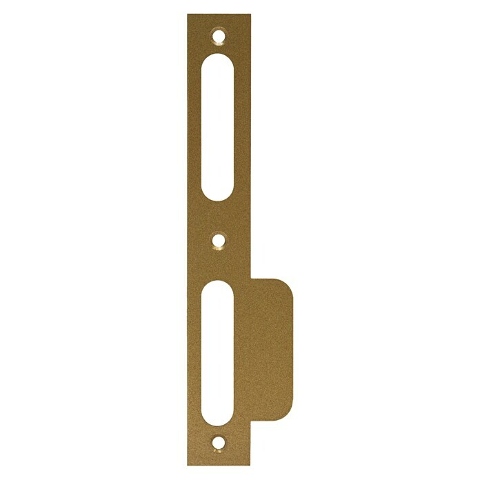 Abus Lappenschließblech LSB170 (DIN Anschlag: DIN-L, L x B: 170 x 24 mm, Gold) | BAUHAUS