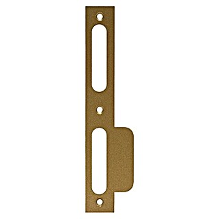 Abus Lappenschließblech LSB170 (DIN Anschlag: DIN-L, L x B: 170 x 24 mm, Gold)