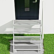 Dolle Buitentrap (Breedte: 100 cm, 4 treden, Kleur treden: Zilver, Verdiepingshoogte: 72 - 88 cm)