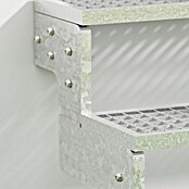 Dolle Buitentrap (Breedte: 100 cm, 4 treden, Kleur treden: Zilver, Verdiepingshoogte: 72 - 88 cm)