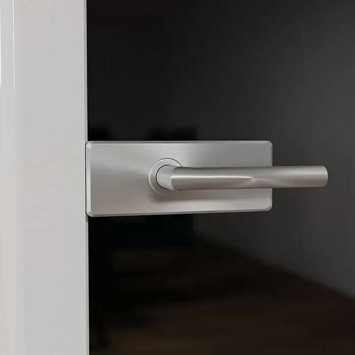 Diamond Doors Black Edition Glasdrehtür 517 - 834 x 1.972 mm, DIN Anschlag: Links/Rechts, Verbundsicherheitsglas (VSG), Schwarz - Stimmungsaufnahme