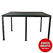Sunfun Pérgola adosada Palma (L x An x Al: 300 x 400 x 255 cm, Antracita)