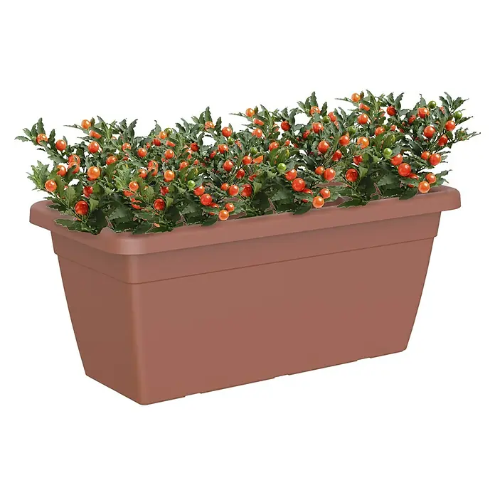 Artevasi Venezia Pflanzkasten XL - Außenmaß (L x B x H): 60 x 30 x 26 cm, Kunststoff, Terracotta - Ein rechteckiger, brauner Pflanzkasten, bepflanzt mit Nachtschattenpflanzen mit leuchtend orangefarbenen Früchten, die eine dekorative Note verleihen.