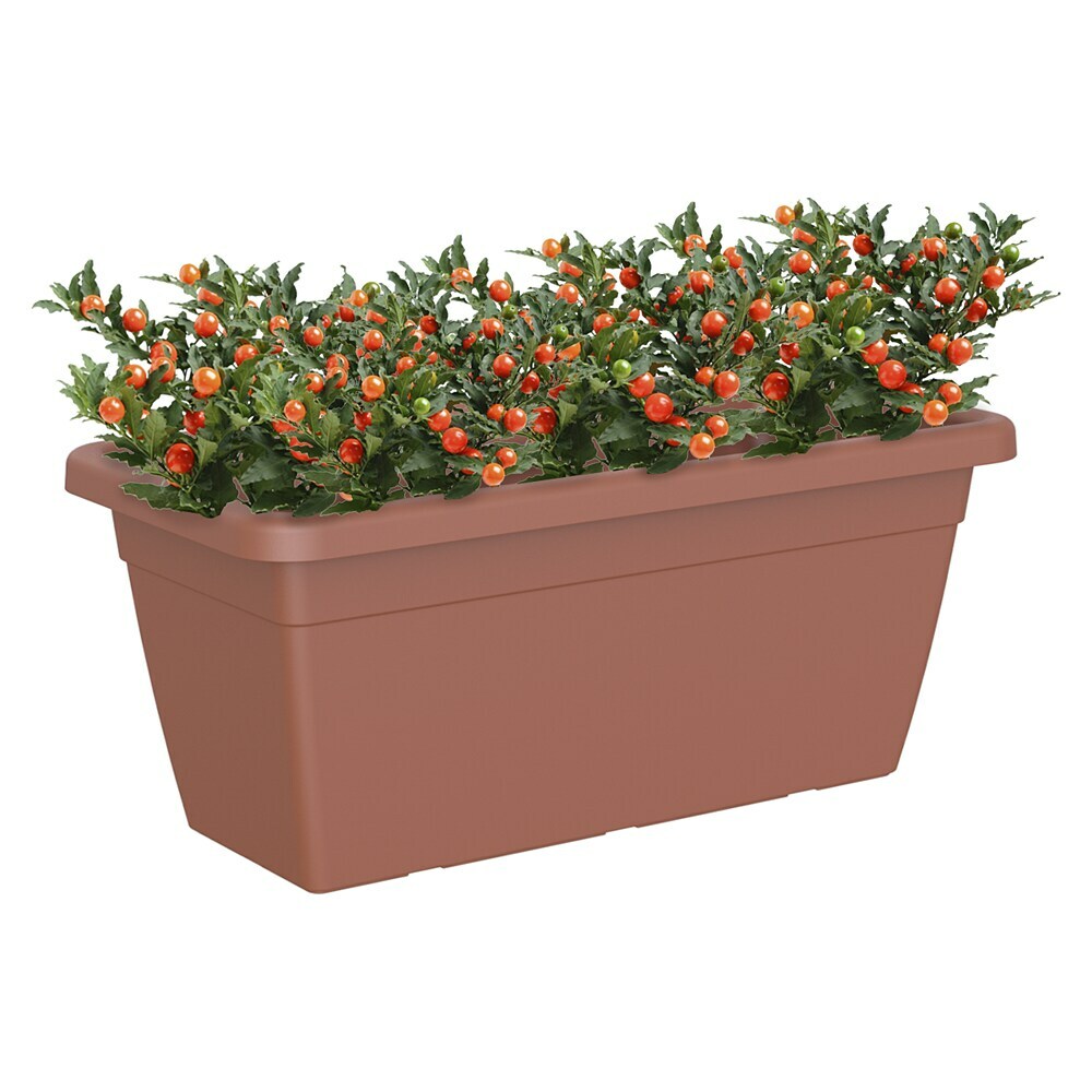 Artevasi Venezia Pflanzkasten XL - Auenma (L x B x H): 60 x 30 x 26 cm,  Kunststoff, Terracotta online kaufen bei BAUHAUS