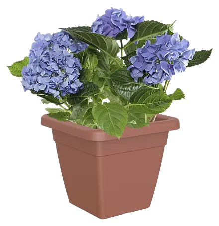 blumenkasten boden Rechteckiger Blumenkasten für außen main image 0