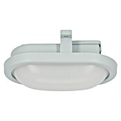 Ritter Leuchten LED-Oval-Armatur (Grau, 5,5 W, Kunststoff, IP44)
