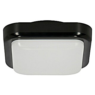 Ritter Leuchten Zidna LED svjetiljka (14 W, D x Š x V: 197 x 197 x 95 mm, Crne boje, Bijele boje dnevnog svjetla)