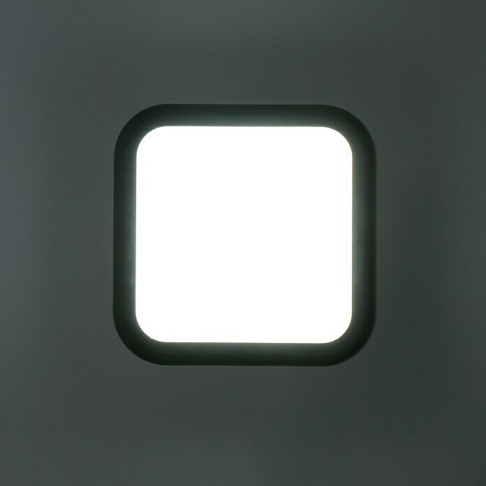 Ritter Leuchten LED-Rechteckleuchte (Schwarz, 14 W, Tageslichtweiß, IP44)