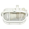 Ritter Leuchten Iso-Ovalleuchte (Weiß, 5 W, E27, IP44)