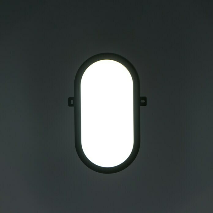 Ritter Leuchten LED-Oval-Armatur (Schwarz, 10 W, Tageslichtweiß, IP44)