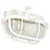 Ritter Leuchten Iso-Ovalleuchte (Weiß, 5 W, E27, IP44)