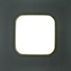 Ritter Leuchten LED-Rechteckleuchte (Weiß, 14 W, Tageslichtweiß, IP44)