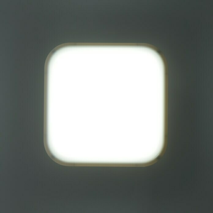 Ritter Leuchten LED-Rechteckleuchte (Weiß, 14 W, Tageslichtweiß, IP44)