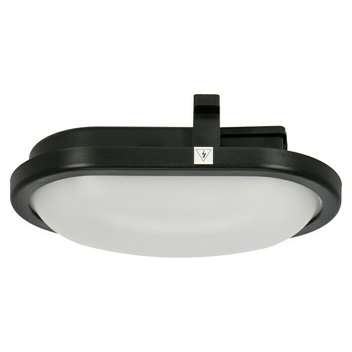 Ritter Leuchten LED-Oval-Armatur (Schwarz, 10 W, Tageslichtweiß, IP44)
