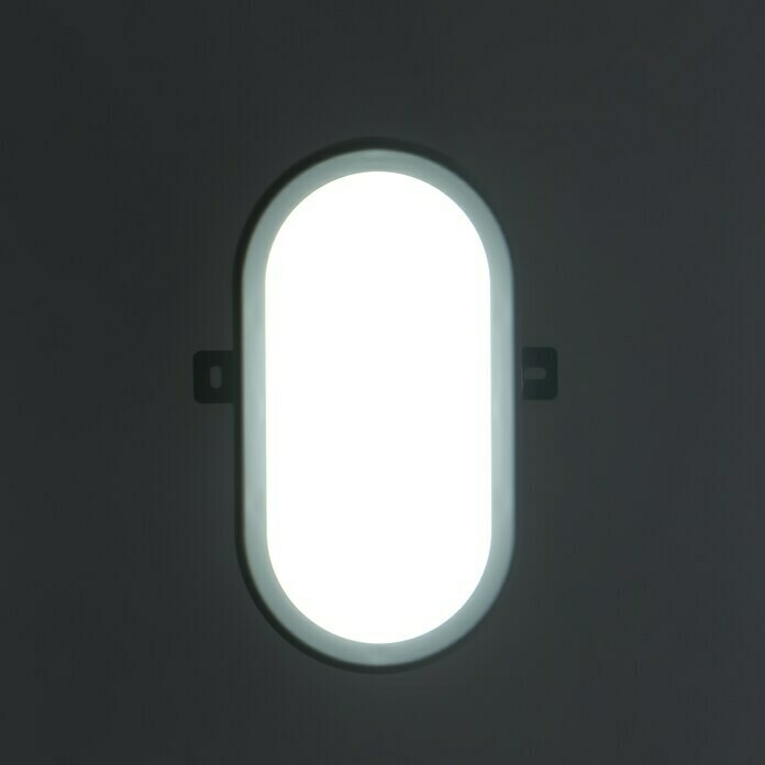 Ritter Leuchten LED ovalna armatura (Siva, 5,5 W, Plastika, IP44)