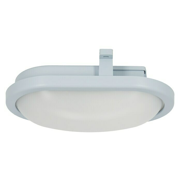 Ritter Leuchten LED-Oval-Armatur (Grau, 10 W, Tageslichtweiß, IP44)