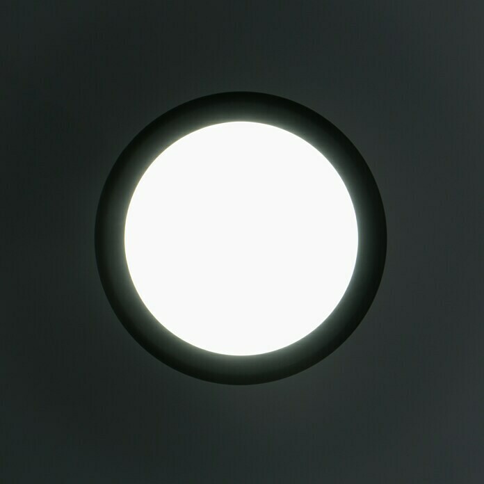 Ritter Leuchten LED-Rundleuchte (Schwarz, 14 W, Tageslichtweiß, IP44, Energieeffizienzklasse: A++ bis A)