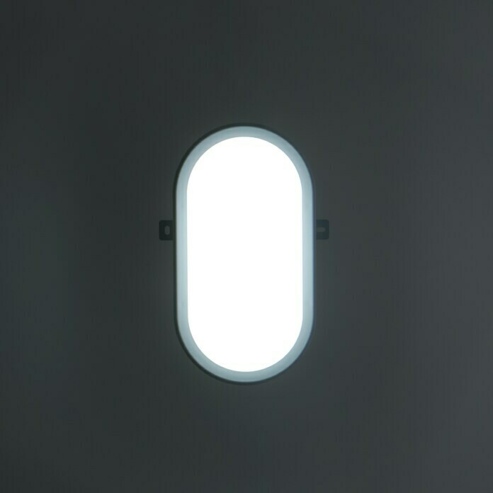 Ritter Leuchten LED-Oval-Armatur (Grau, 10 W, Tageslichtweiß, IP44)