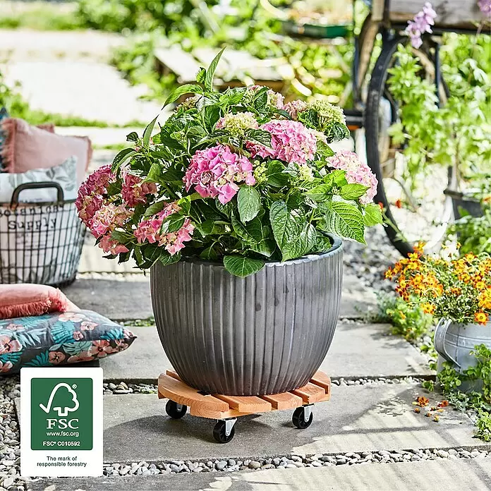 Wagner System Pflanzenroller Florenz - Durchmesser: 37,5 cm, Kiefer - Pflanzentrolley aus Holz mit Rollen, der einen großen gerippten grauen Topf mit rosa Hortensien auf einer Terrasse trägt.