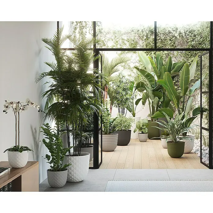 Artevasi Pflanztopf Havana Tropical - Außenmaß (Ø x H): 40 x 33,2 cm, Kunststoff, Granit - Eine Sammlung von Zimmerpflanzen in dekorativen Pflanzgefäßen verschiedener Formen und Größen, die ein stilvolles Interieur ergänzen.