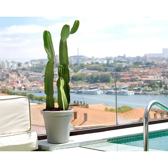Artevasi Pflanztopf Toscana - Außenmaß (Ø x H): 50 x 47,7 cm, Kunststoff, Hellgrau - Kaktus in einem grauen Topf neben einem Pool auf einer Dachterrasse mit Blick auf die Stadt.