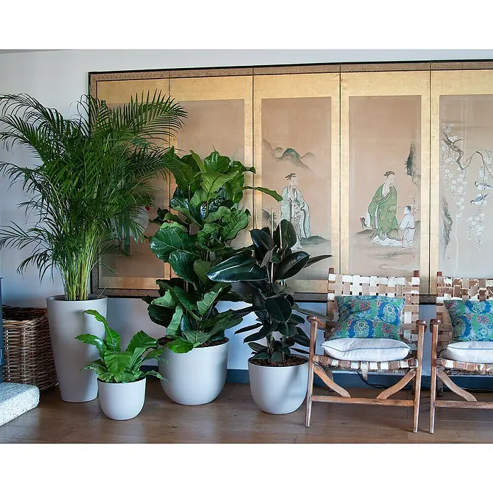 Artevasi Pflanztopf Havana Natural - Außenmaß (Ø x H): 30 x 24,9 cm, Kunststoff, Granit - Vielfältige Zimmerpflanzen in stilvollen weißen Töpfen, die eine lebendige und grüne Atmosphäre in jedem Raum schaffen.