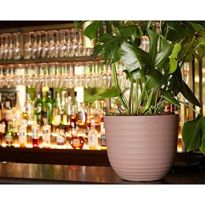 Artevasi Pflanztopf Havana Waves - Außenmaß (Ø x H): 40 x 33,2 cm, Kunststoff, Weiß-Grau - Zimmerpflanze Monstera deliciosa in geripptem Topf, stilvolles Dekor für Bar oder Restaurant, modernes Design.