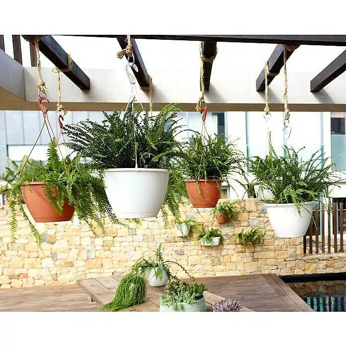 Artevasi Blumenampel Algarve - Außenmaß (Ø x H): 30 x 20,5 cm, Kunststoff, Anthrazit - Stimmungsaufnahme