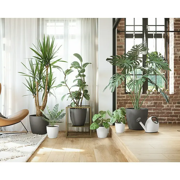 Artevasi San Remo Übertopf rund MattAußenmaß (Ø x H): 42 x 39,5 cm, Kunststoff, Anthrazit - Helle, luftige Inneneinrichtung mit verschiedenen Zimmerpflanzen in grauen und weißen Übertöpfen, die eine ruhige und natürliche Atmosphäre schaffen.