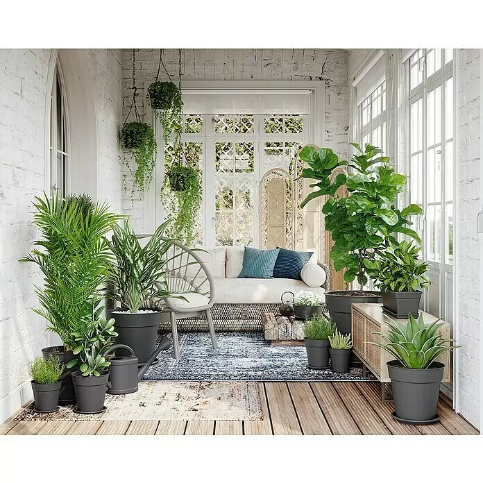 Artevasi Madagascar Pflanztopf - Außenmaß (Ø x H): 13 x 12,4 cm, Kunststoff, Anthrazit - Stimmungsaufnahme