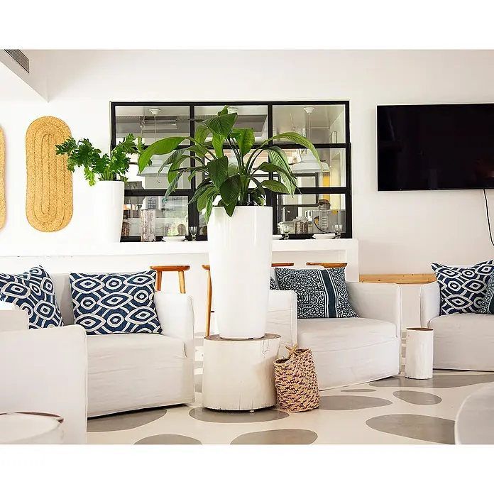 Artevasi Pflanzsäule rund Santorini - Außenmaß (Ø x H): 31,8 x 65 cm, Kunststoff, Weiß - Einladendes Interieur mit weißen Sesseln, blauen Kissen und hohen Zimmerpflanzen in weißen Übertöpfen, die eine ruhige und stilvolle Atmosphäre schaffen.