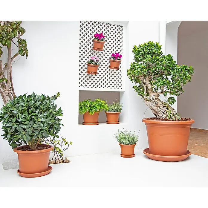 Artevasi Venezia Pflanztopf Cilindro - Außenmaß (Ø x H): 40 x 27,5 cm, Kunststoff, Terracotta - Eine Nahaufnahme von einer Vielzahl von Topfpflanzen, die verschiedene Arten und Größen in einem Innenhof präsentieren.