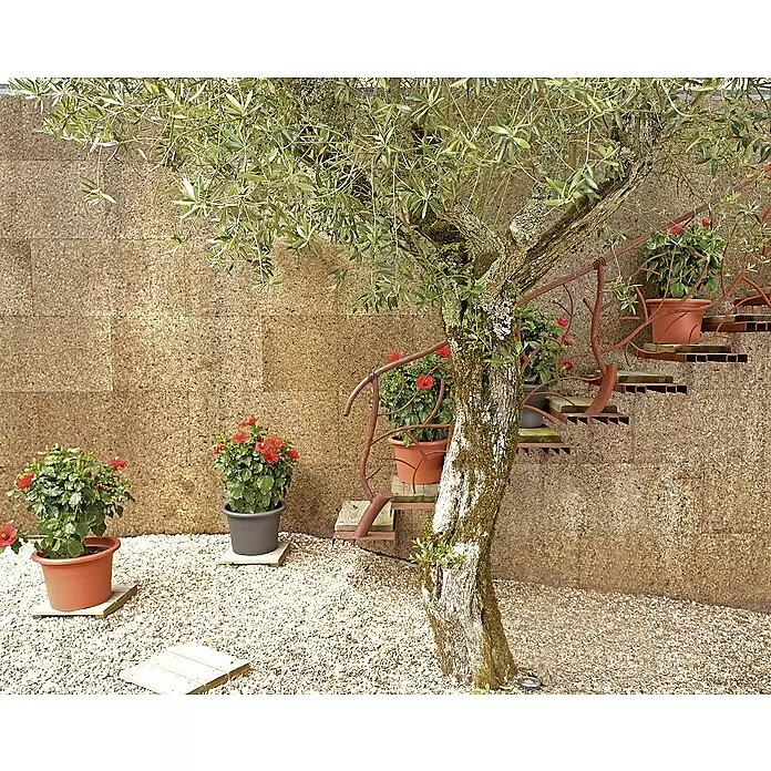 Artevasi Venezia Pflanztopf Cilindro - Außenmaß (Ø x H): 40 x 27,5 cm, Kunststoff, Terracotta - Stimmungsaufnahme