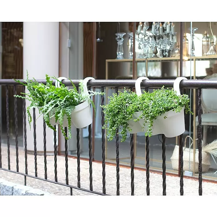 Artevasi Capri Balkonkasten - Max. Außenlänge: 30,5 cm, Kunststoff, Hellgrau - Weiße Hängepflanzgefäße mit grünen Pflanzen, an einem dunklen Metallgeländer.