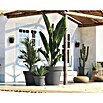 Artevasi Capri Pflanztopf (Außenmaß (Ø x H): 40 x 34,7 cm, Kunststoff, Anthrazit) | BAUHAUS