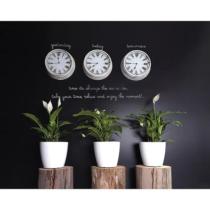 Artevasi San Remo Übertopf rund - Außenmaß (Ø x H): 12,5 x 11,5 cm, Weiß - Drei Spathiphyllum-Pflanzen in weißen Töpfen auf Holzscheiben unter Uhren mit der Aufschrift "Gestern, Heute, Morgen".