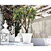 Artevasi Capri Pflanztopf (Außenmaß (Ø x H): 40 x 34,7 cm, Kunststoff, Anthrazit) | BAUHAUS