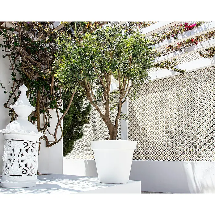 Artevasi Capri Pflanztopf - Außenmaß (Ø x H): 20 x 18,9 cm, Kunststoff, Weiß - Ein elegantes Arrangement mit einem Olivenbaum in einem weißen Topf und einer dekorativen weißen Laterne vor einer gemusterten Wand.