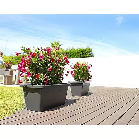 Blumenkasten 80 cm gnstig kaufen | BAUHAUS