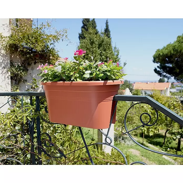 Artevasi Venezia Geländerkasten - Außenmaß (L x B x H): 60 x 30 x 27 cm, Kunststoff, Anthrazit - Brauner Kunststoff-Balkonkasten mit Blumen, an einem dunklen Metallgeländer hängend.