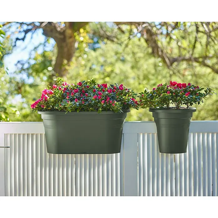 Artevasi Venezia Geländerkasten - Außenmaß (L x B x H): 60 x 30 x 27 cm, Kunststoff, Olivgrün - Zwei Blumenkästen mit rosa Blüten hängen an einem weißen Zaun, der einen frischen Farbakzent im Außenbereich setzt.