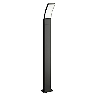 Philips Splay Baliza exterior LED (12 W, Blanco frío, Altura: 96 cm, Antracita)