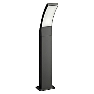 Philips Splay Baliza exterior LED (12 W, Blanco frío, Altura: 60 cm, Antracita)