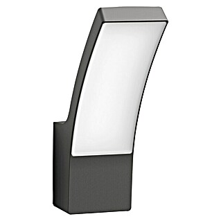 Philips Splay Aplique exterior LED (12 W, L x An x Al: 16 x 8 x 24 cm, Color del marco: Antracita, Blanco frío)