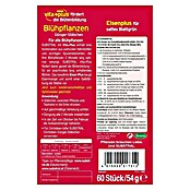 Substral Blühpflanzen-Düngestäbchen (30 Stk., Inhalt ausreichend für ca.: 30 Pflanzen)