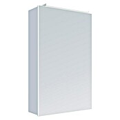 DSK Armario con espejo LED Vegas (An x Al: 40 x 60 cm, Aluminio, Plata) | BAUHAUS
