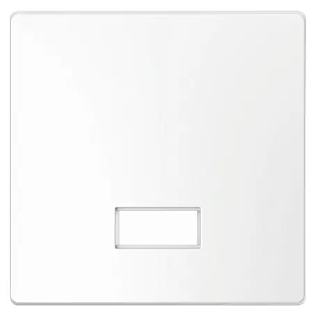 Merten System Design Kontrollschalterwippe MEG3350-6035