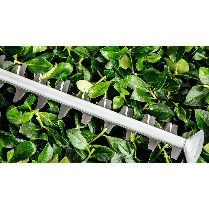 BOSCH Taille-haies Universal HedgeCut 50