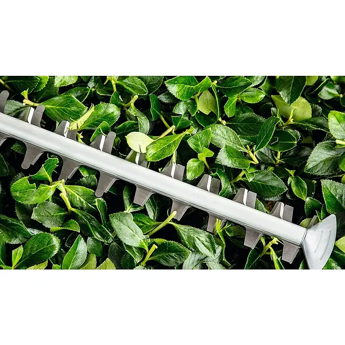 Bosch Elektro-Heckenschere UniversalHedgeCut 60 - 480 W, Schnittlänge: 60 cm - Nahaufnahme einer Heckenschere, die grüne Blätter schneidet. Das Werkzeug ist scharf und bereit für die Gartenarbeit.
