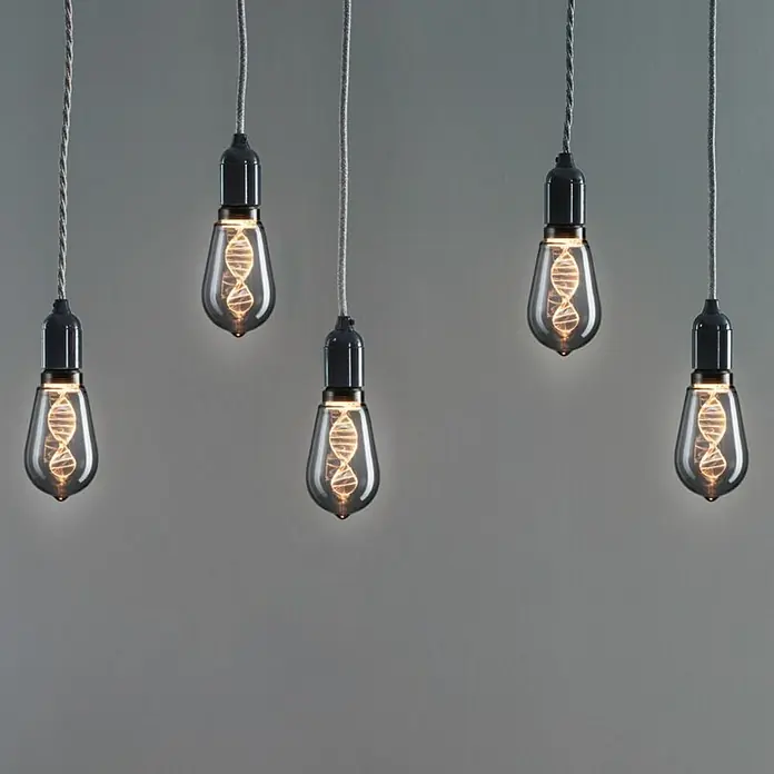 Paulmann Inner Glow LED-Lampe Vintage Glühlampenform E27 - E27, Nicht Dimmbar, Gelb, 90 lm, 3,5 W, Tropfen, Farbe: Smoky - Fünf hängende DNA-Glühbirnen mit spiralförmigen Filamenten vor einem grauen Hintergrund.